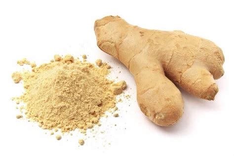 gingebre pols a l'engròs bio