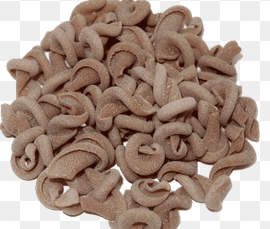 Garganelli blat barba a l'engròs ECO