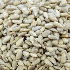 Llavor de girasol ECO