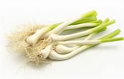 All tendre Manat ECO